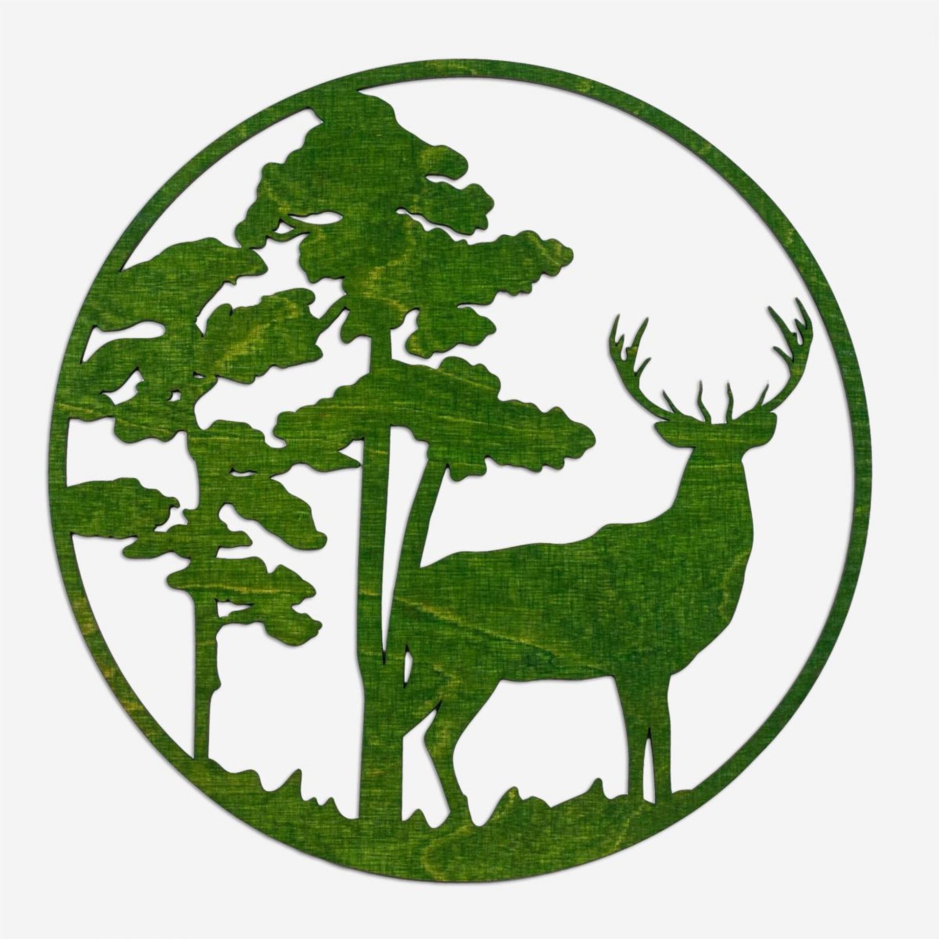 Isokauris metsässä