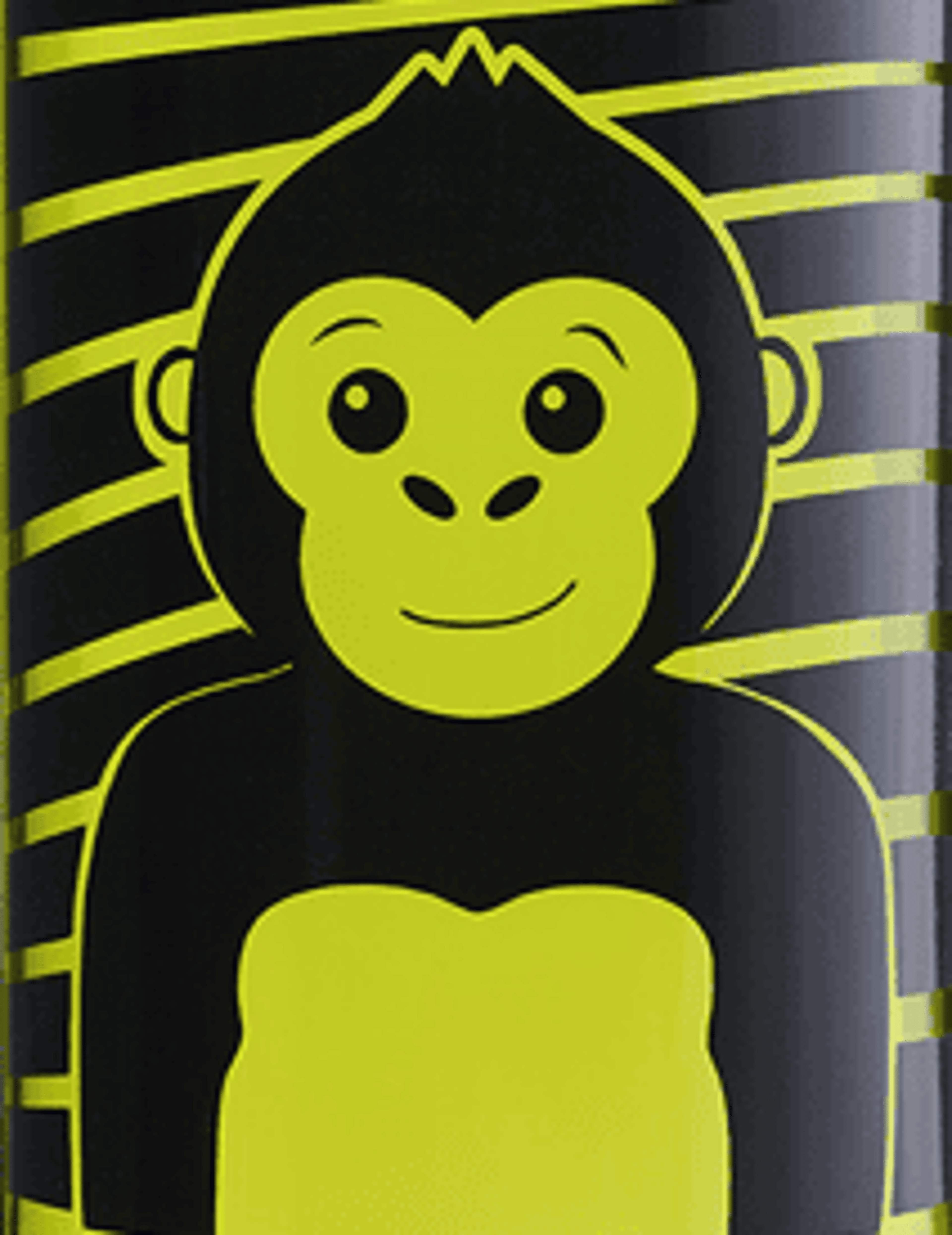 Nalgene On-The-Fly Kids Sustain Bottle with Graphic