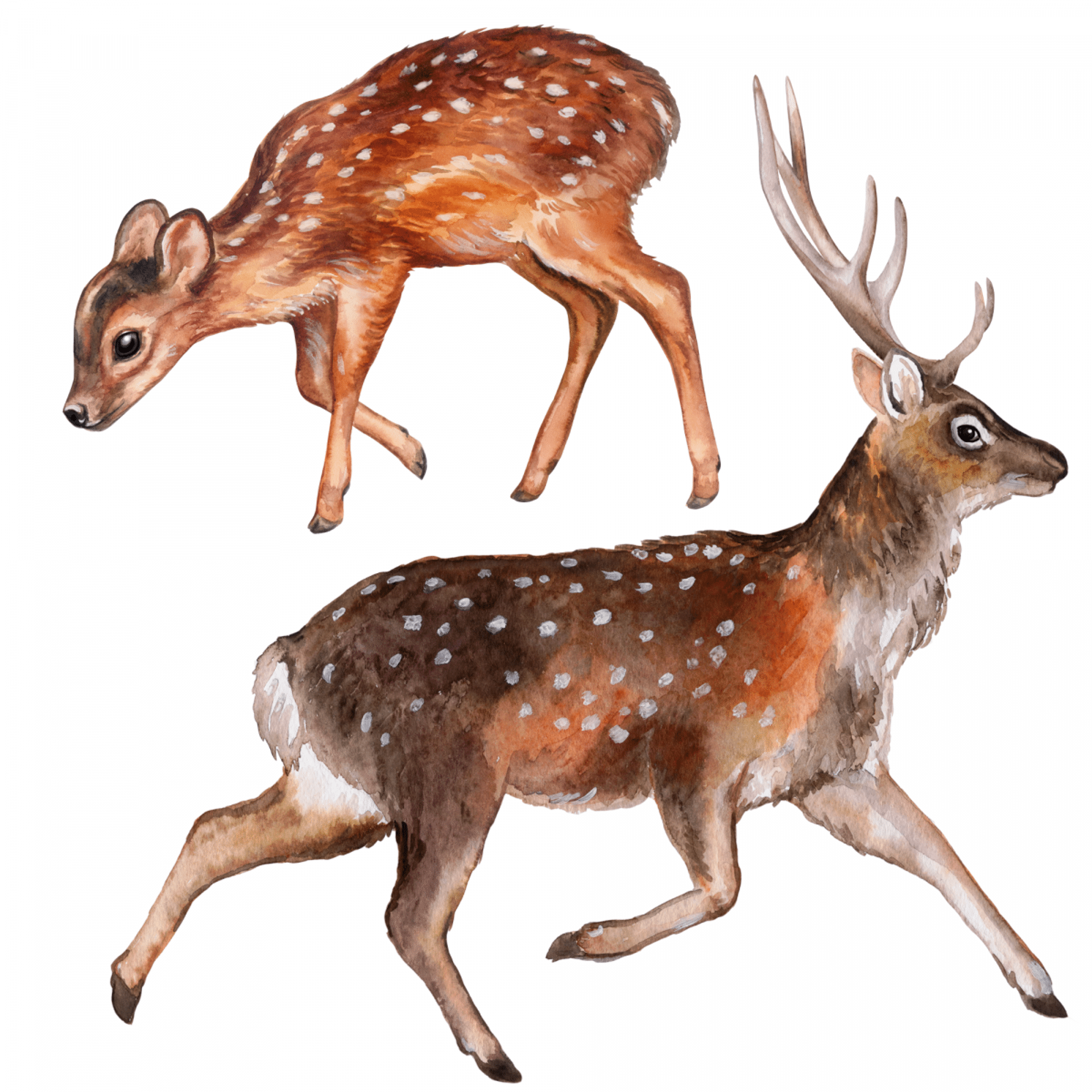 Sticker mural textile "Forêt avec animaux"