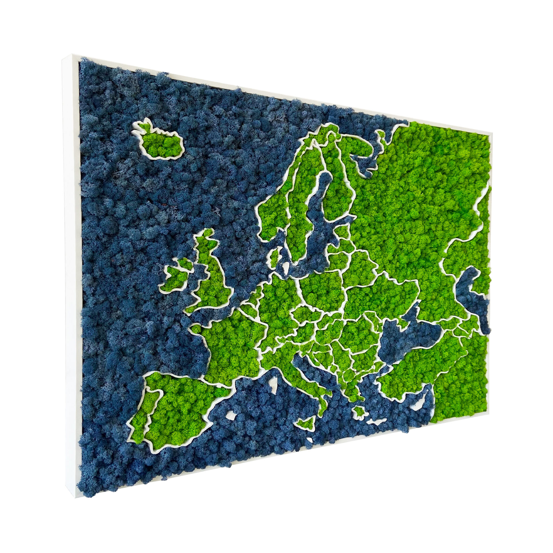 Carte de l'Europe en mousse 3D - lichen nordique naturel