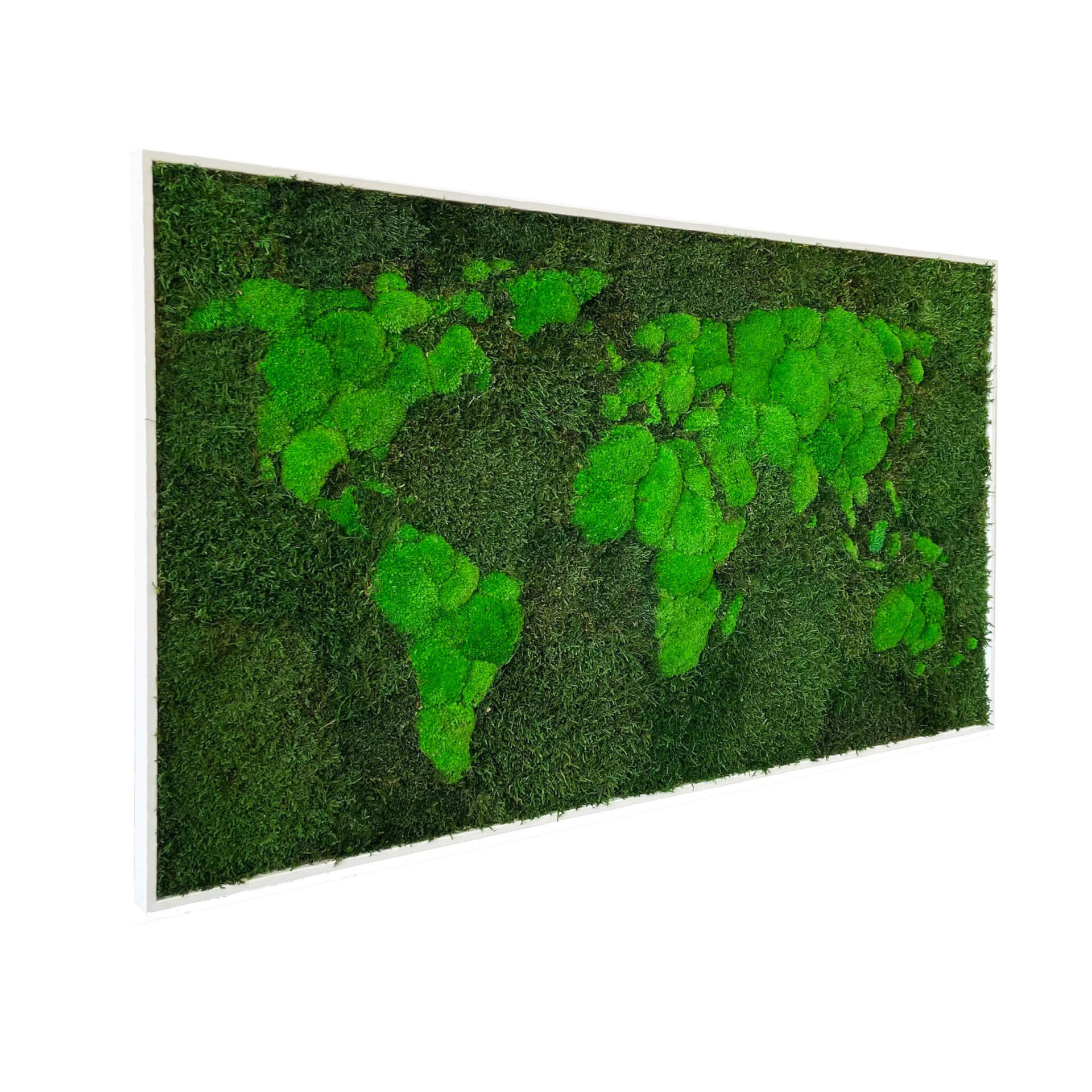 Moss World 3D Map